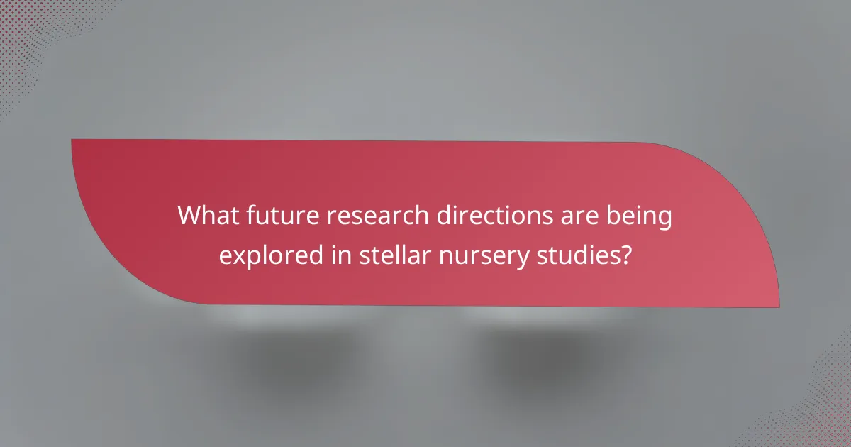 What future research directions are being explored in stellar nursery studies?